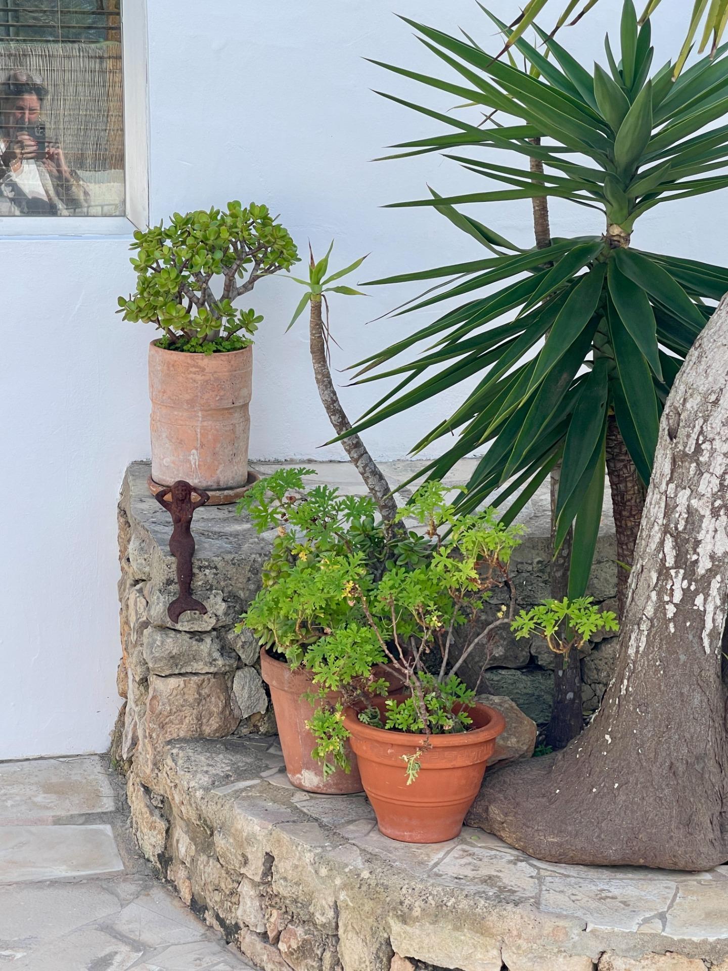VILLA PARAISO