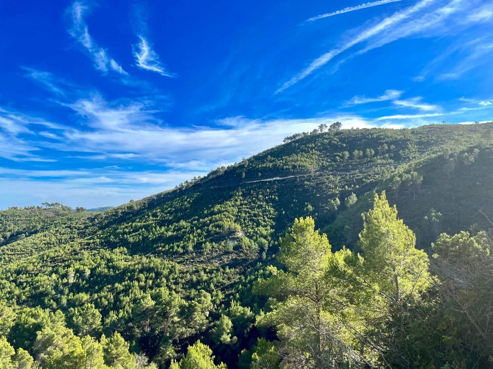 Finca Es Refugio