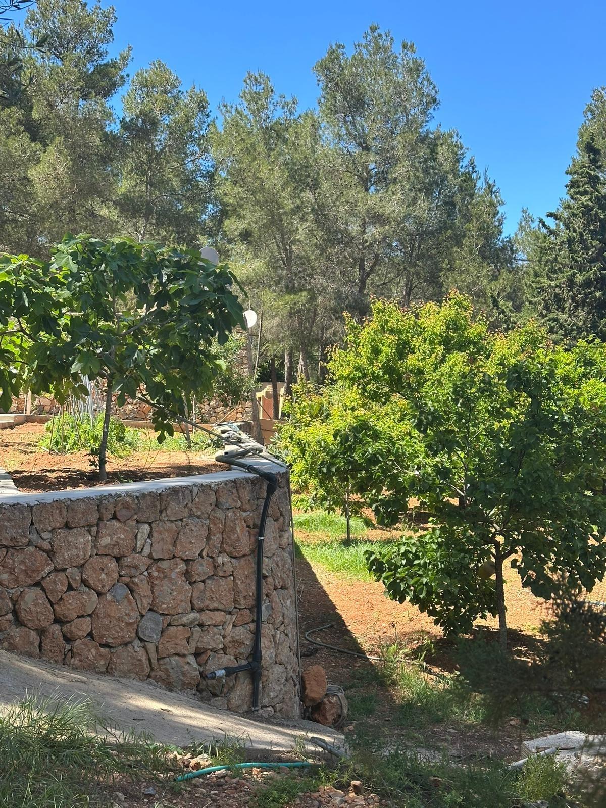 Finca Serena