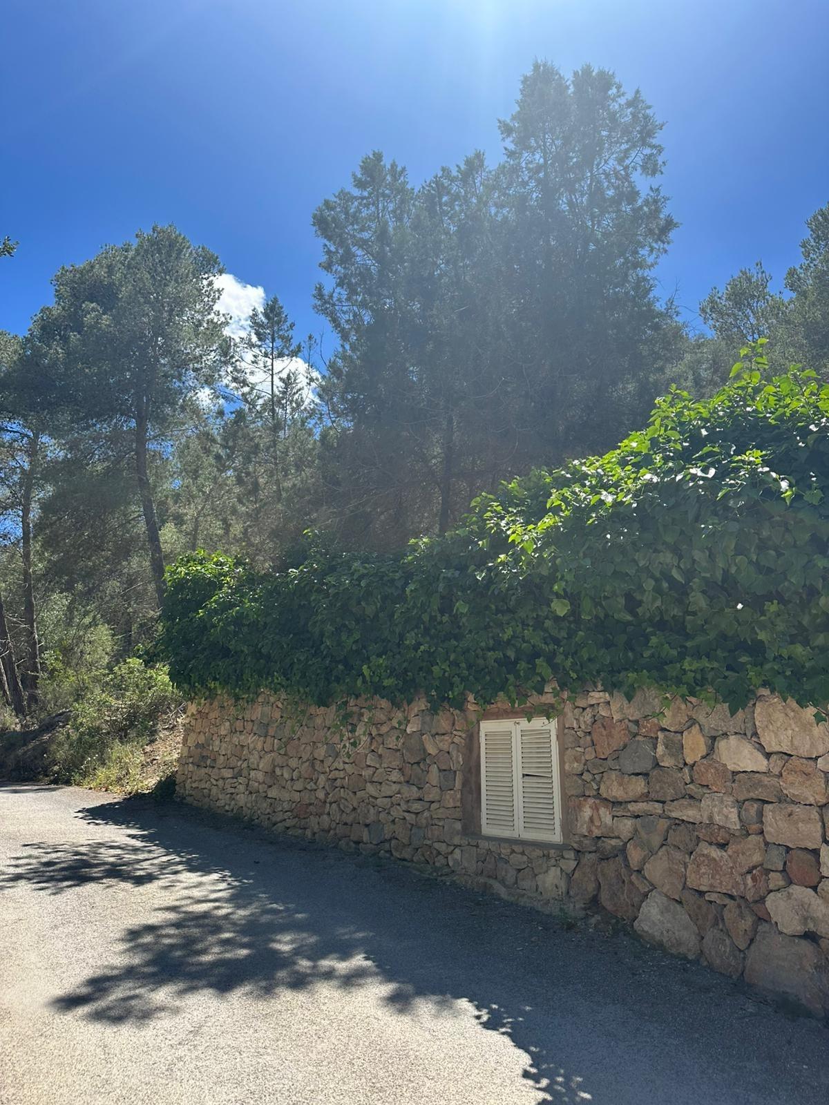 Finca Serena