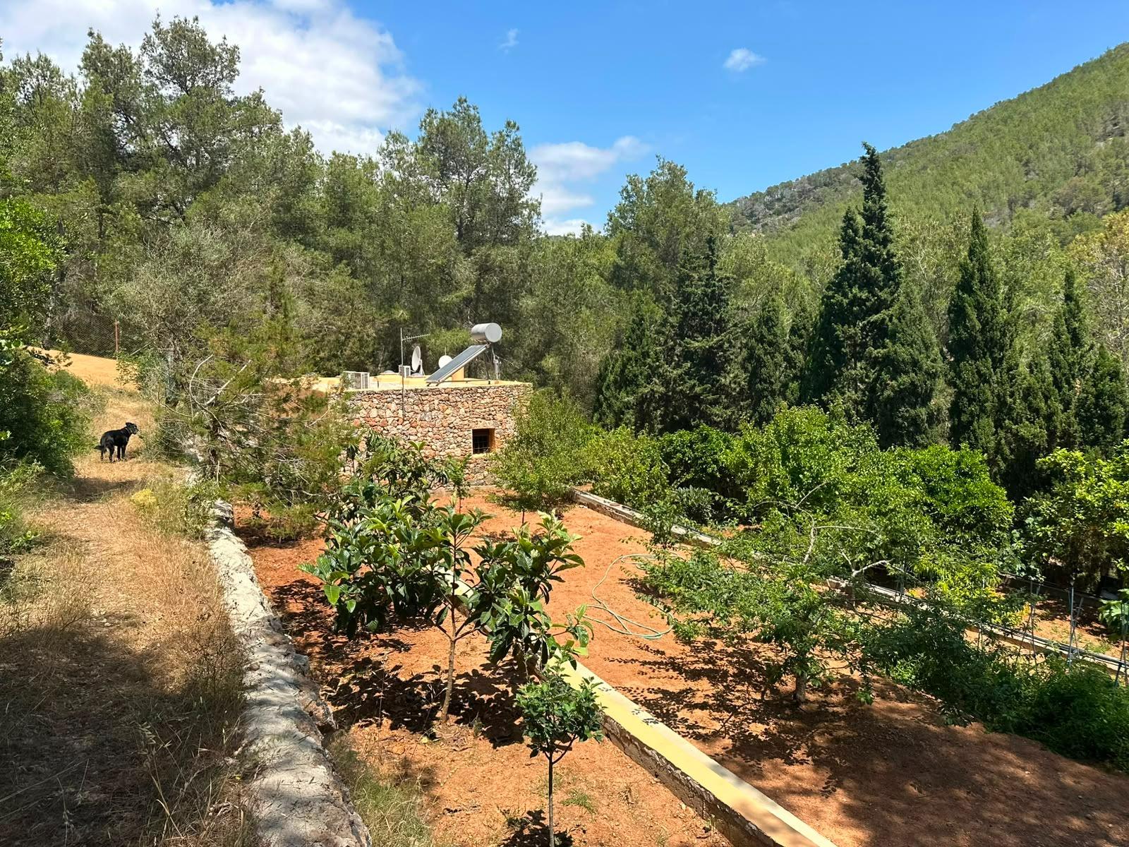 Finca Serena