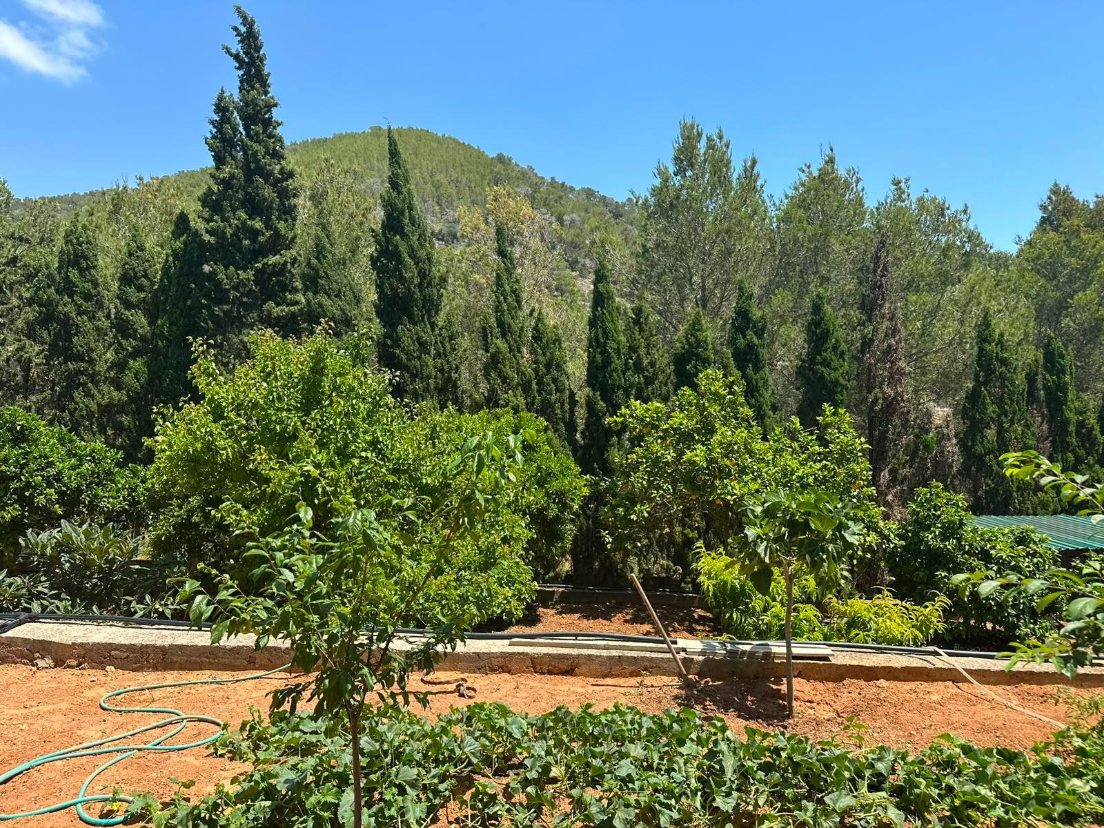 Finca Serena