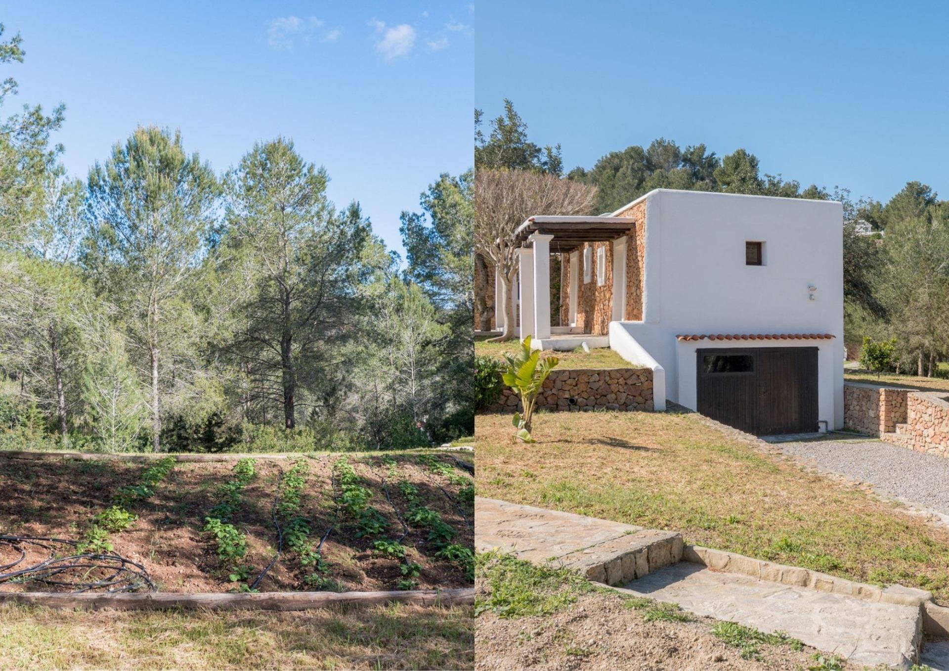 FINCA RUISEÑOR