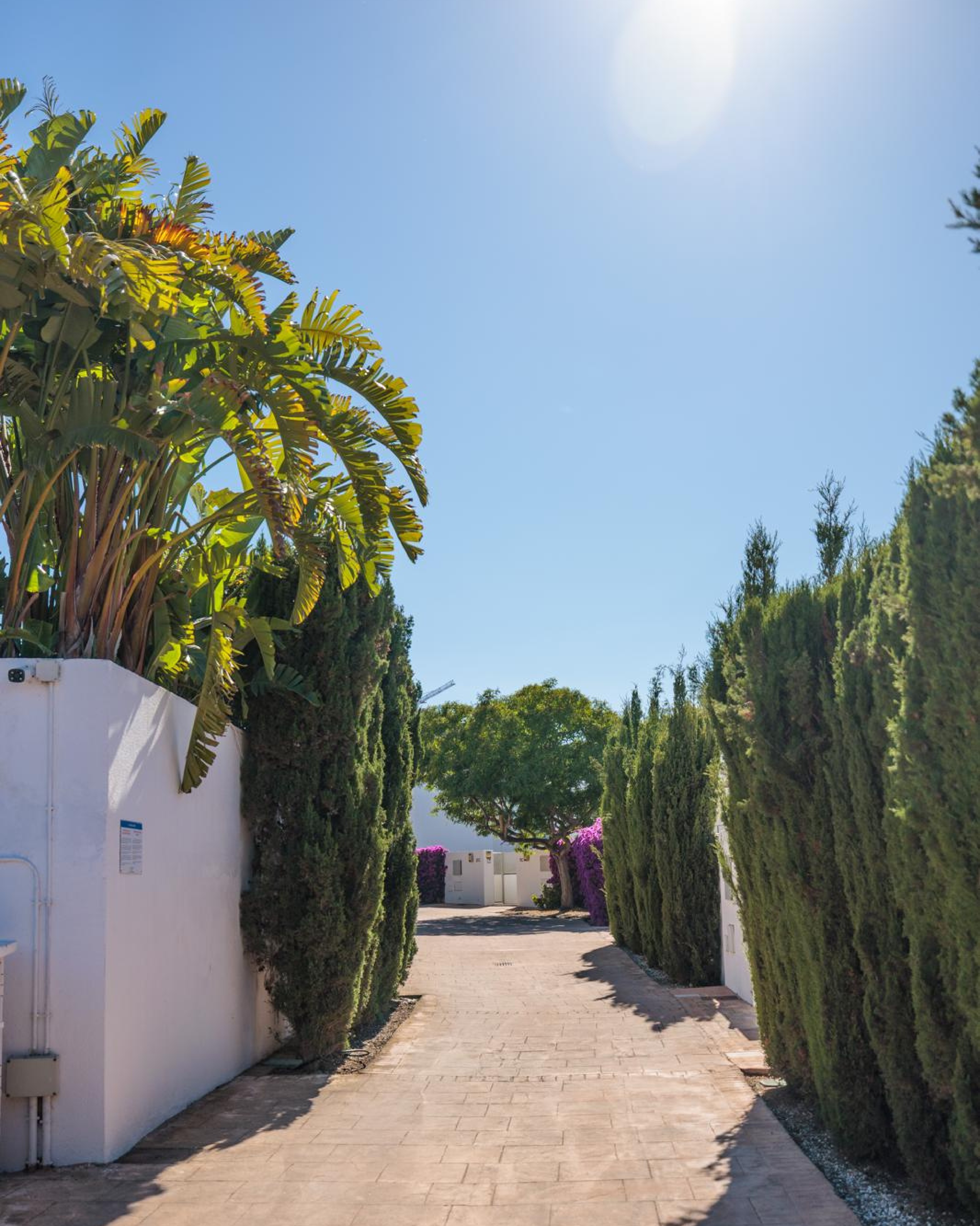  VILLA OLIVERA HILLS 