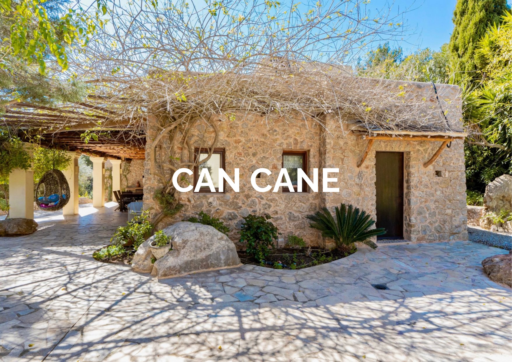 CAN CANE