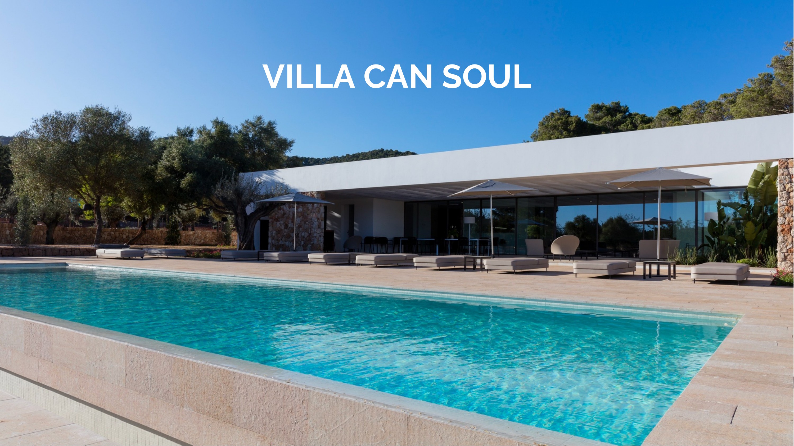 CAN SOUL