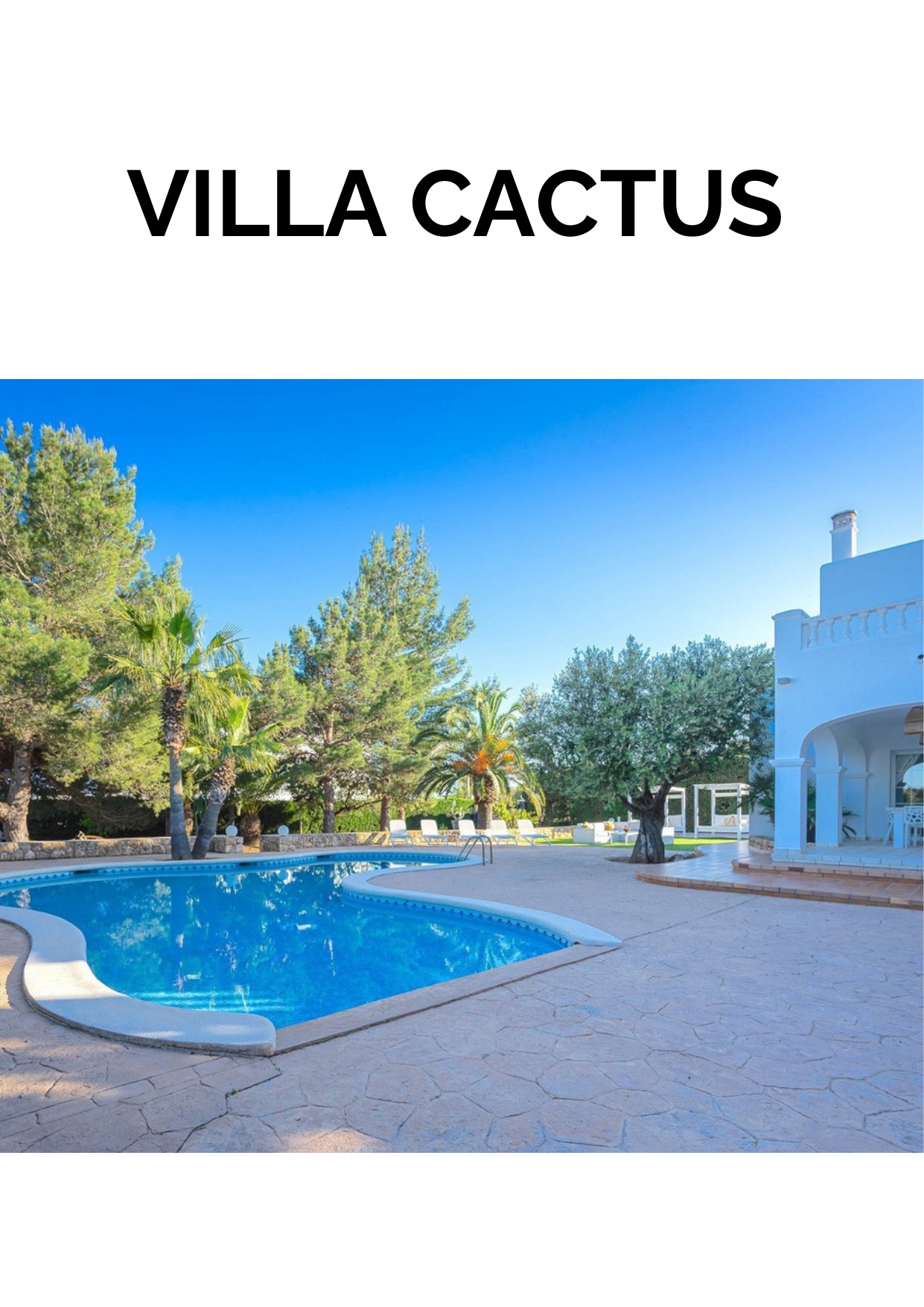 VILLA CACTUS