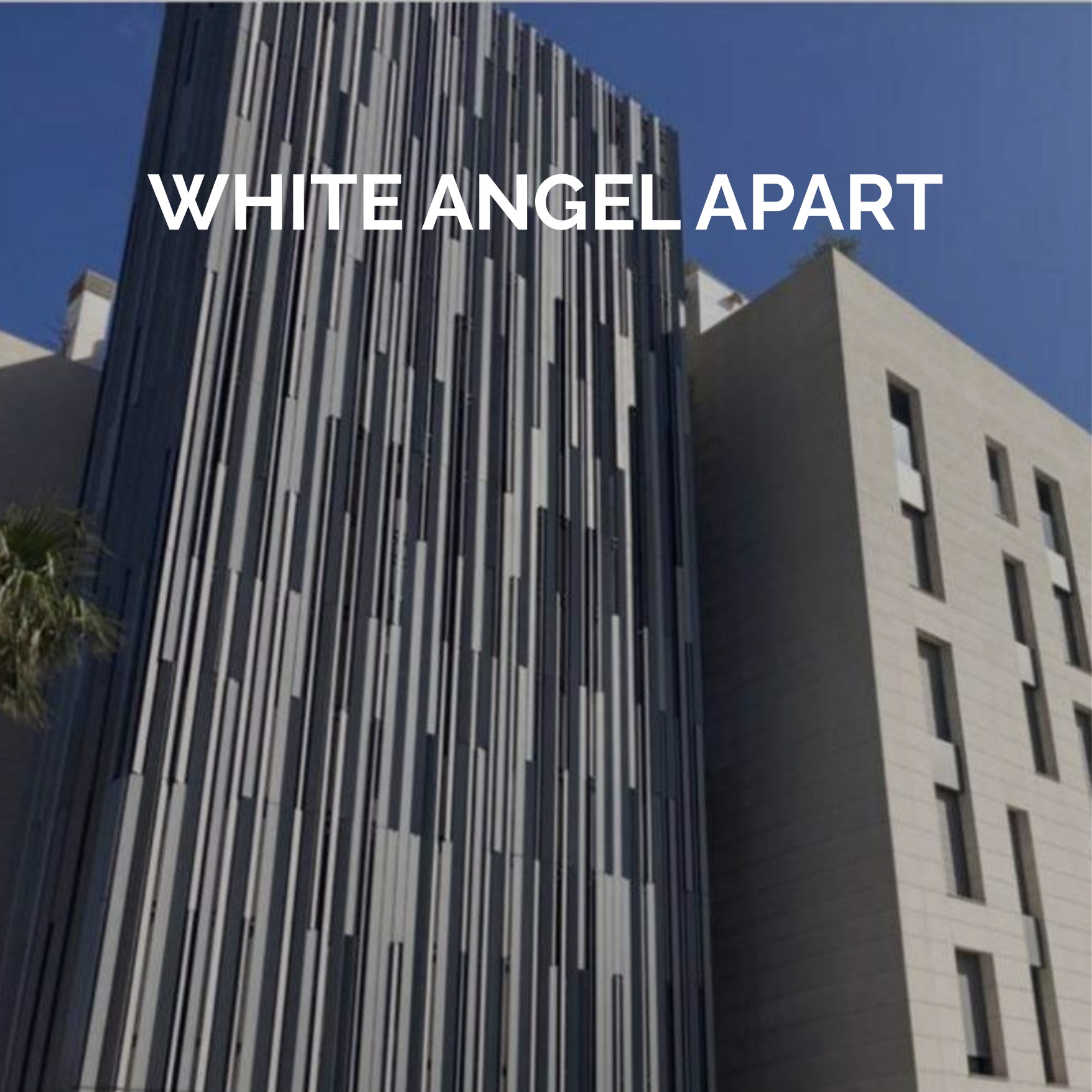 WHITE ANGEL APART