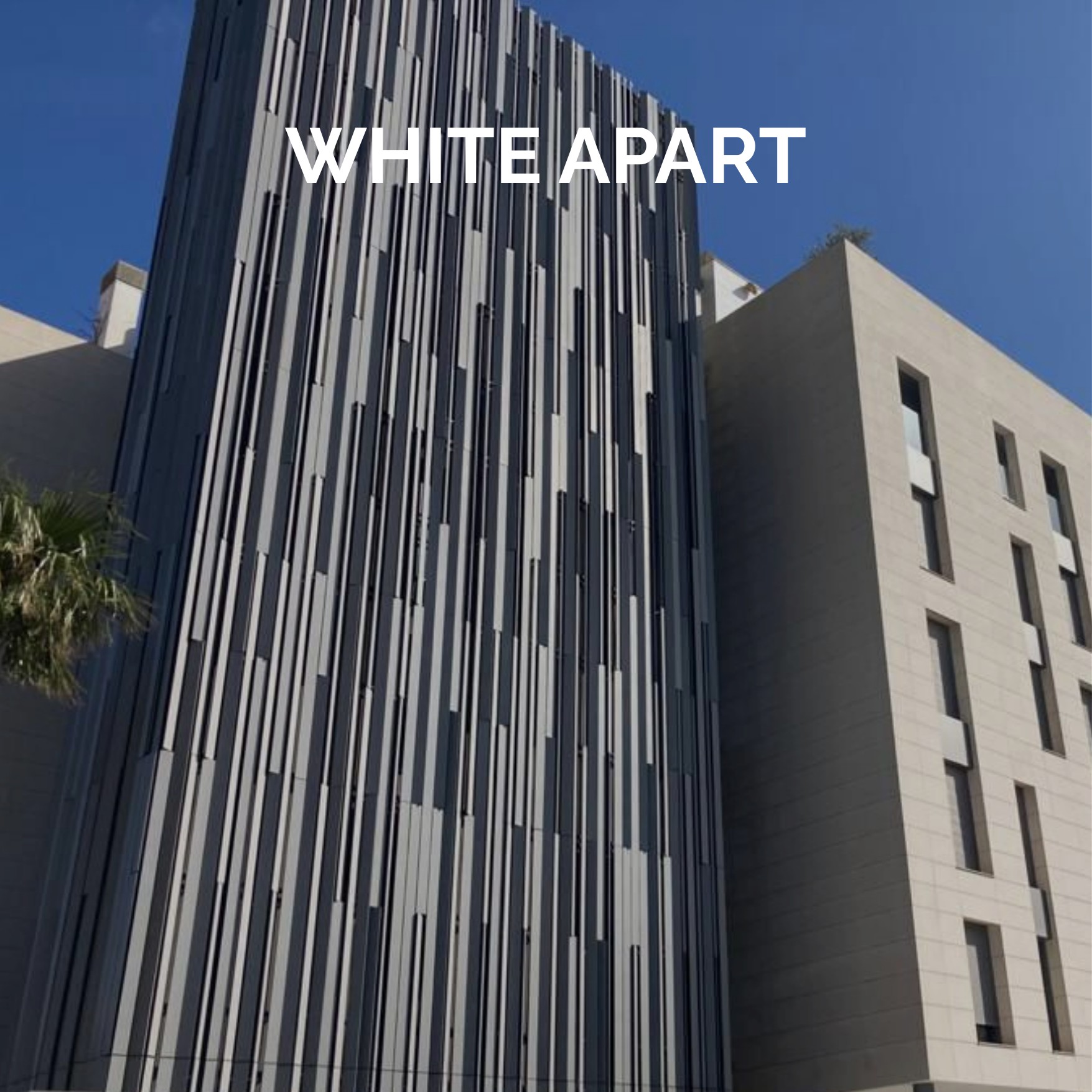 WHITE APART