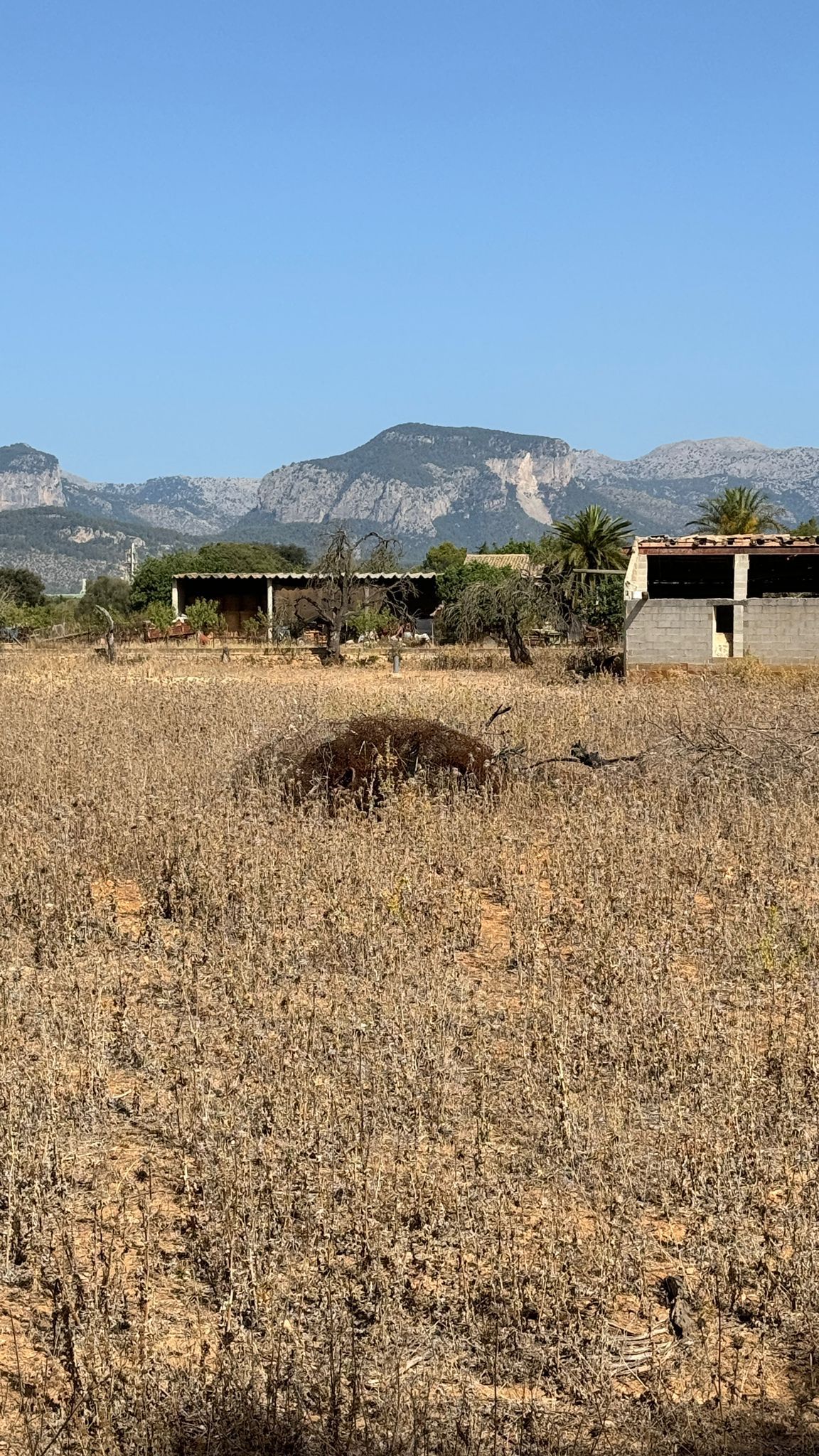 Exclusive Plot for Sale in Binissalem, Mallorca