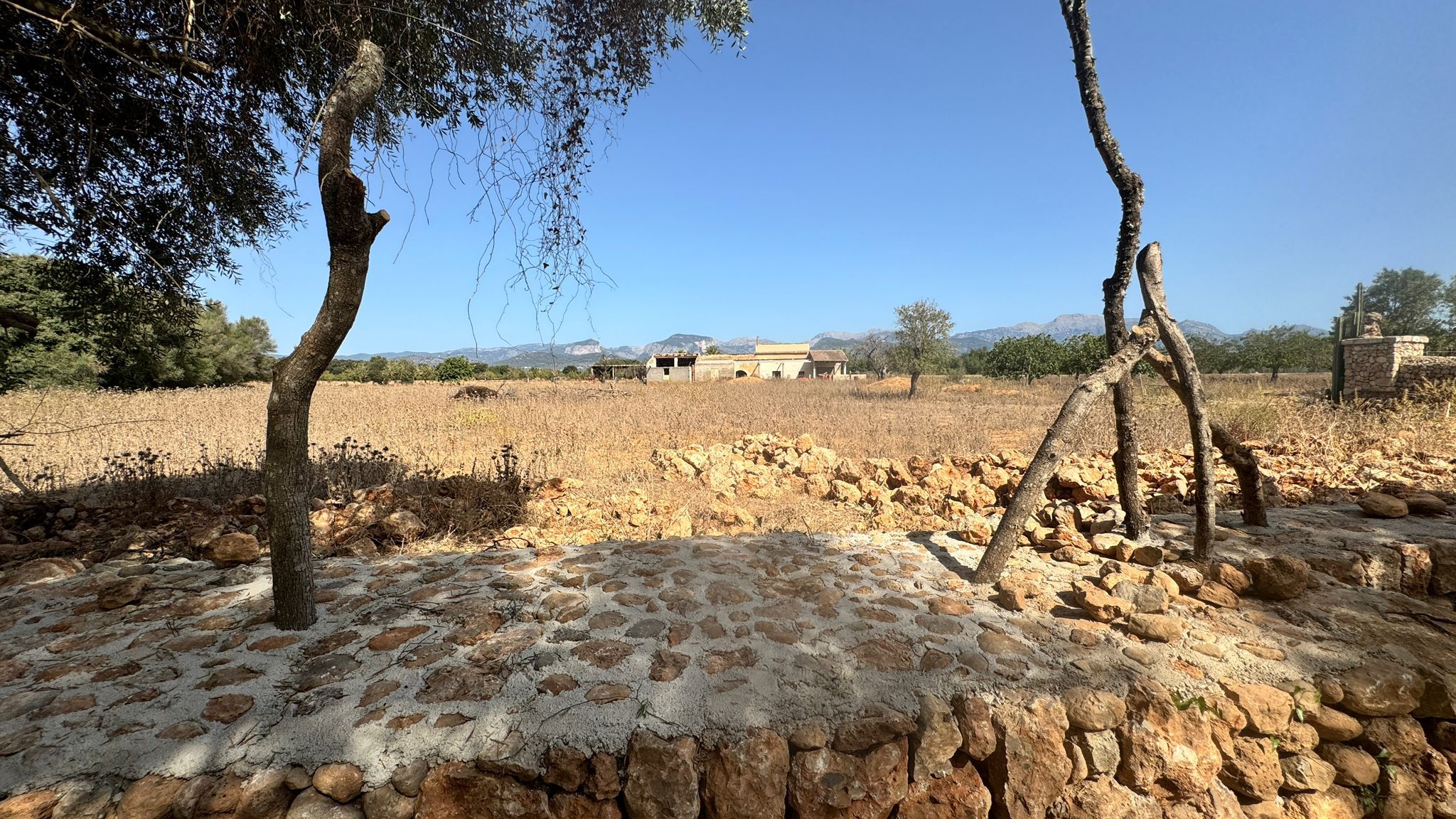 Exclusive Plot for Sale in Binissalem, Mallorca