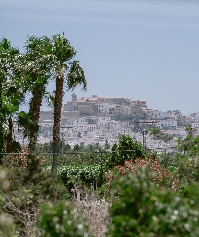Luxury Villa in Ibiza Can Palau