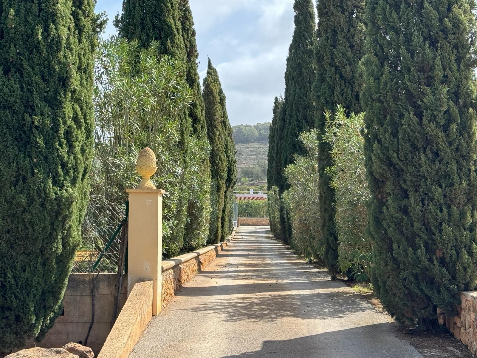 Investment Opportunity: Finca in Santa Gertrudis