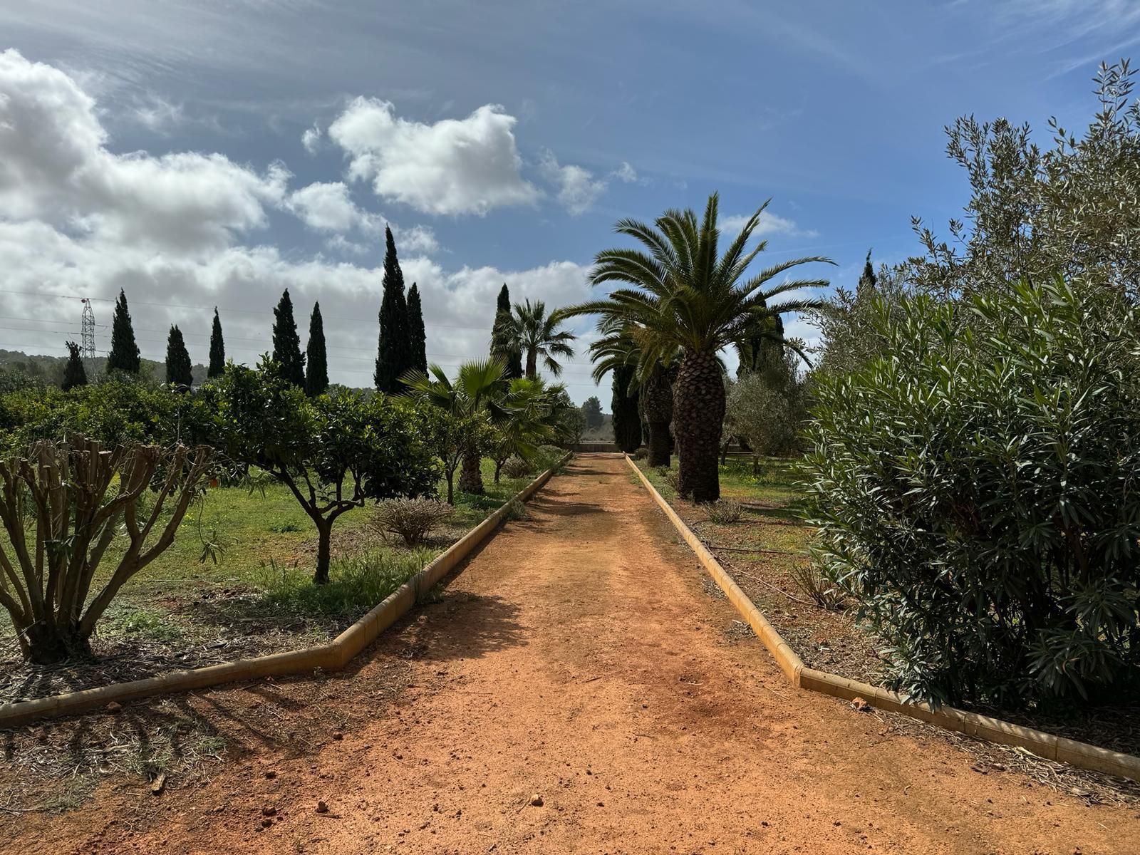 Investment Opportunity: Finca in Santa Gertrudis