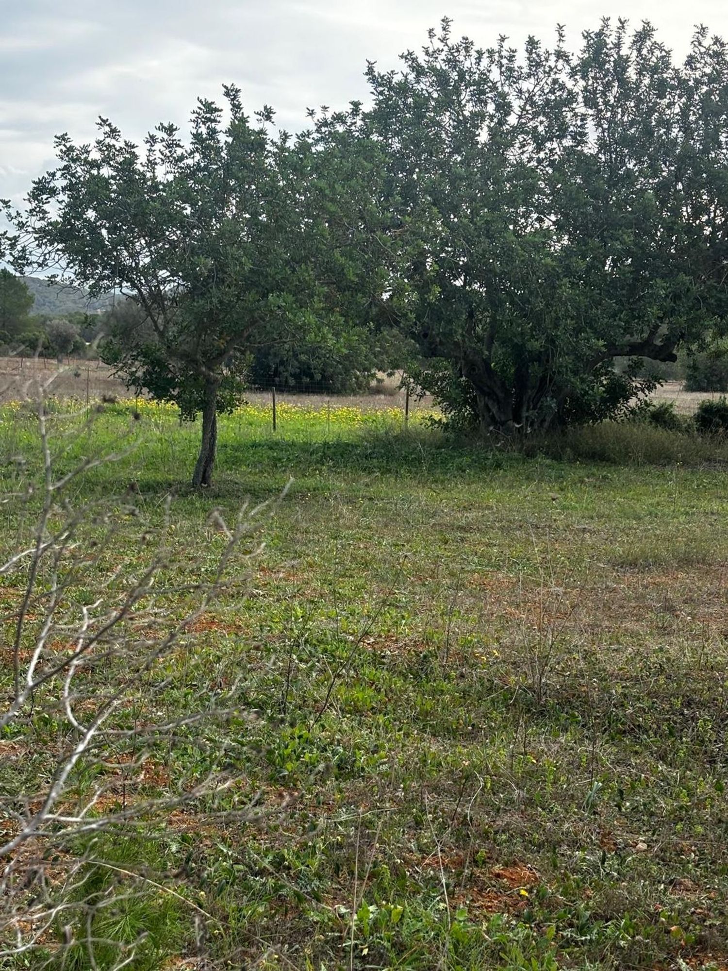 Terreno en venta en crta Sant Miquel de Balanzat