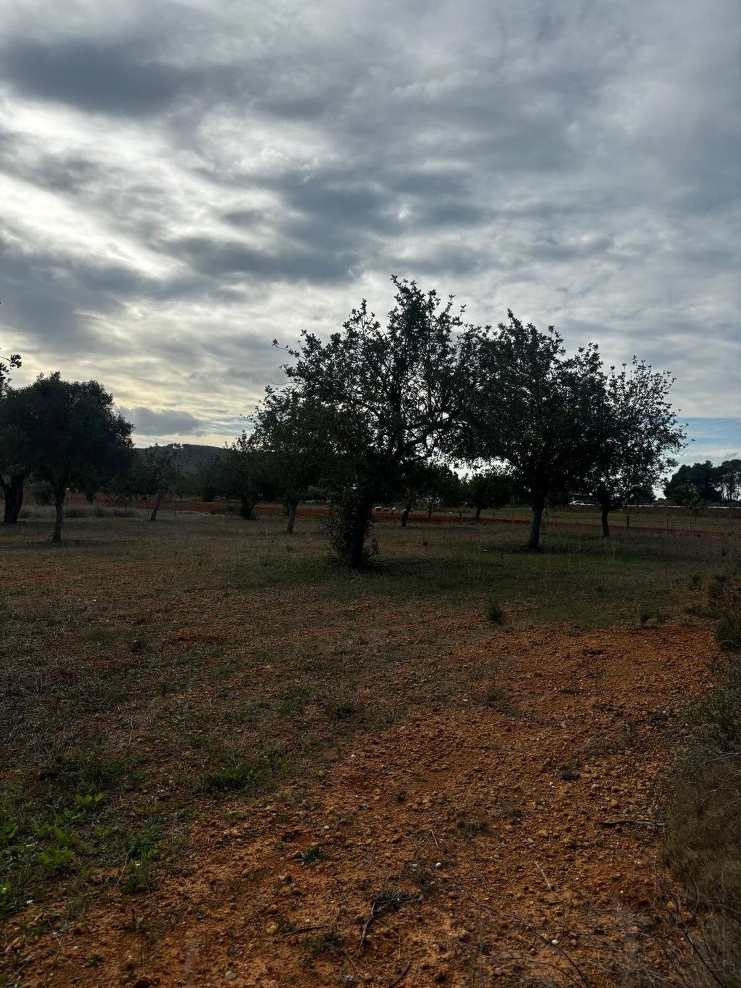 Terreno en venta en crta Sant Miquel de Balanzat
